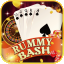 vr rummy icon
